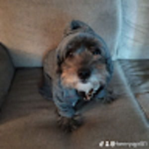 Meet your Posher, Ellen